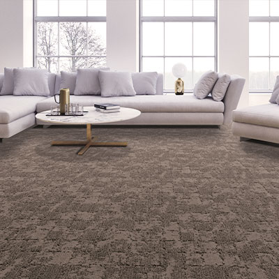 brown cut loop carpet in living room with white couch